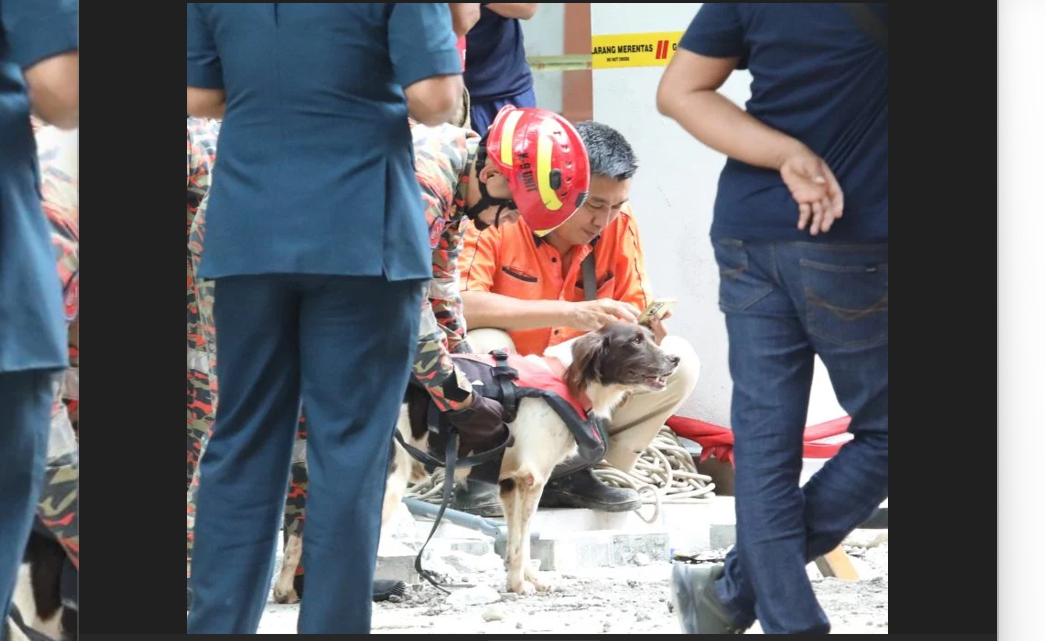 K9 Unit Dogs Indicate ‘Obstruction’ in Sinkhole Chamber: Advanced Search and Rescue Efforts