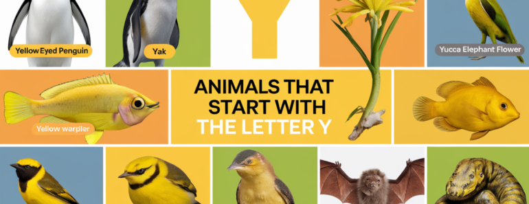 Fun Animal Names That Start With Y for Kids